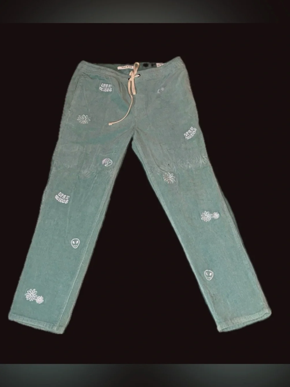 PacSun Embroidered Corduroy Trouser Pants Slim Fit Aqua  Medium (NWOT)